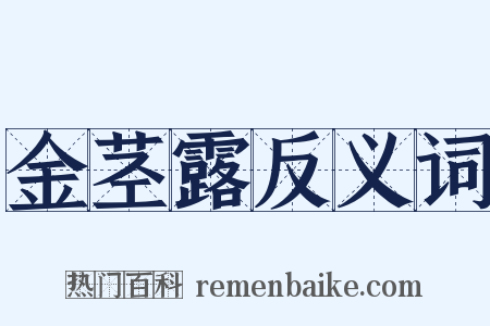 金茎露反义词是什么意思的图片